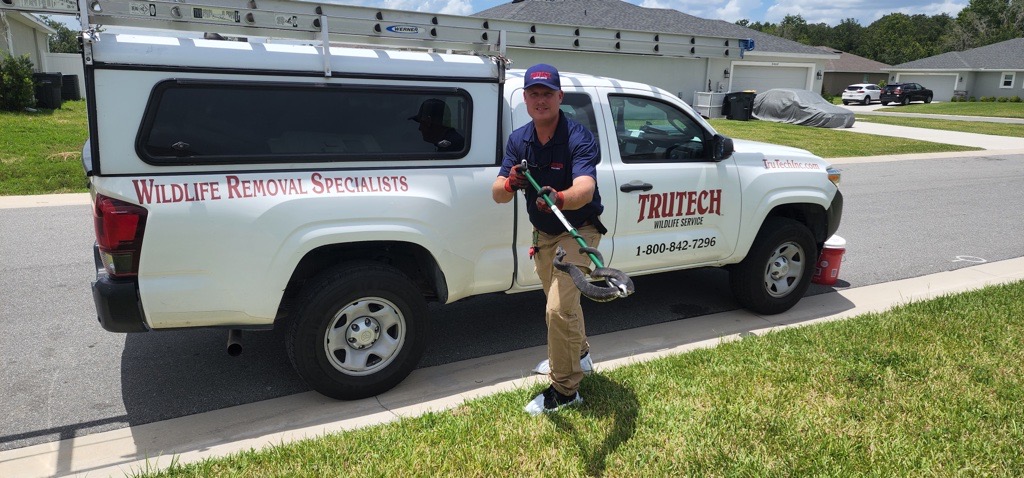 Trutech professional searching for signs of a snake infestation