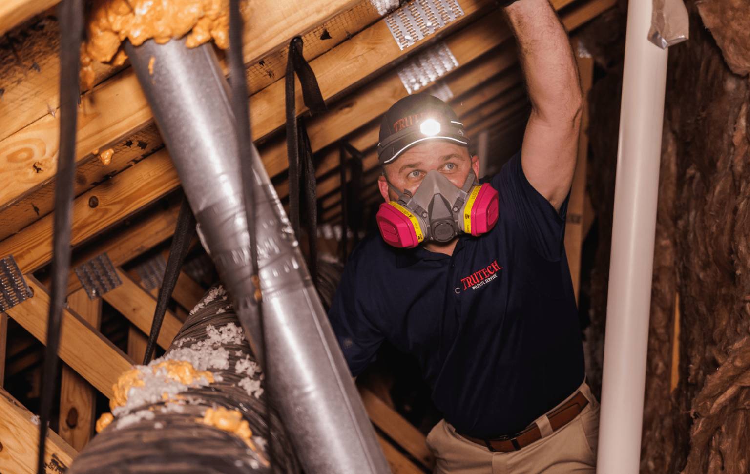 Trutech professional inspecting an attic