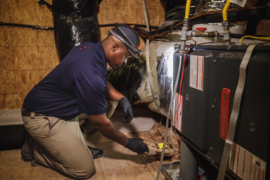 Trutech technician laying a rat trap in an attic