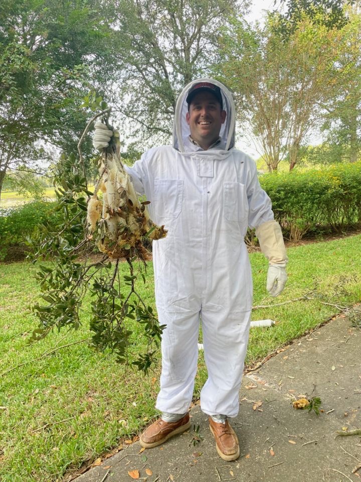 wasp nest removal in Orlando