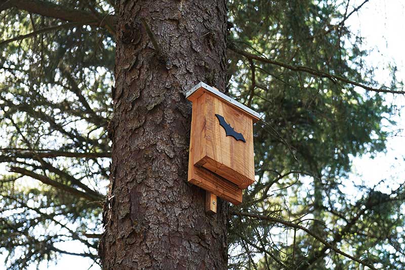 bat house