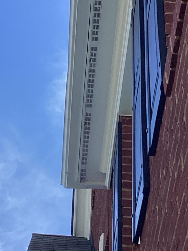 Rat damage on roof in Charlotte, NC