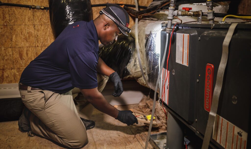 setting rat traps in attic