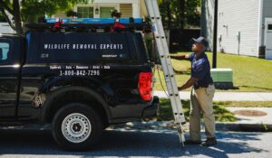 Trutech technician unloading a ladder from their truck